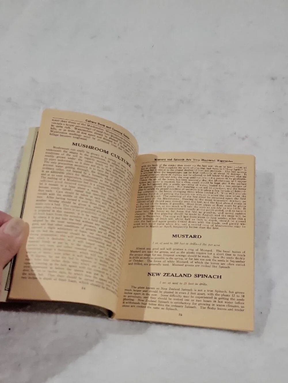 Vintage Shumway's Handy Culture Book and Canning Recipes -